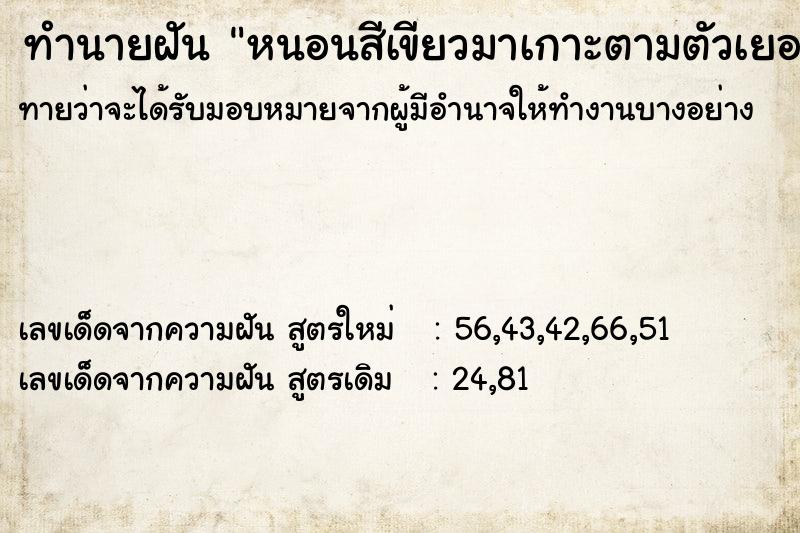 ทำนายฝันทำนายฝันหนอนสีเขียวมาเกาะตามตัวเยอะแยะมาก