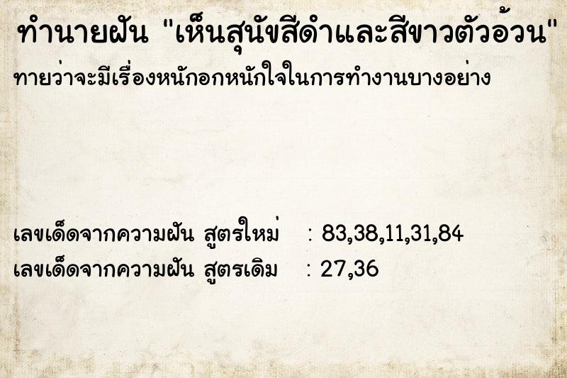 ทำนายฝันทำนายฝันเห็นสุนัขสีดำและสีขาวตัวอ้วน