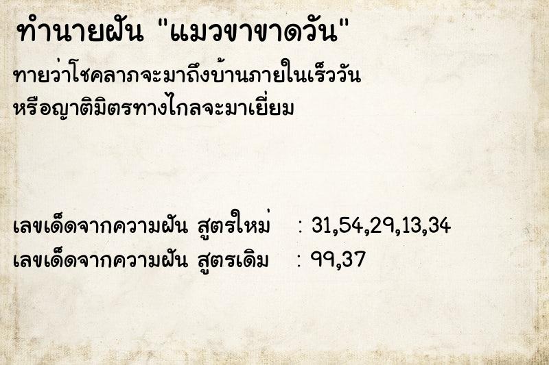 ทำนายฝันทำนายฝันแมวขาขาดวัน