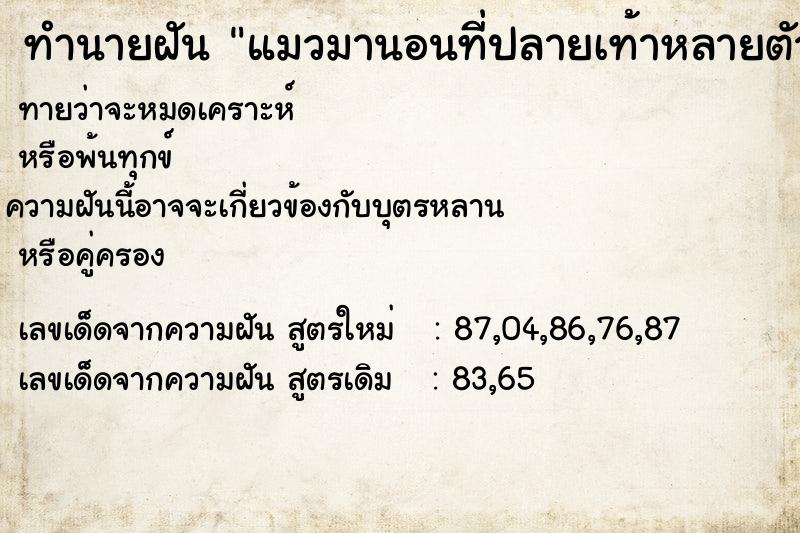 ทำนายฝันทำนายฝันแมวมานอนที่ปลายเท้าหลายตัว
