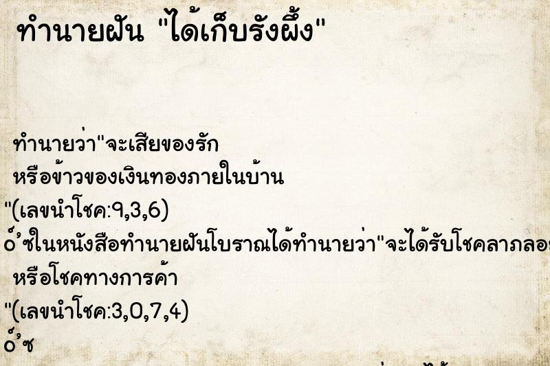 ทำนายฝัน ได้เก็บรังผึ้ง ตำราโบราณ แม่นที่สุดในโลก