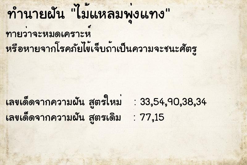 ทำนายฝันทำนายฝันไม้แหลมพุ่งแทง