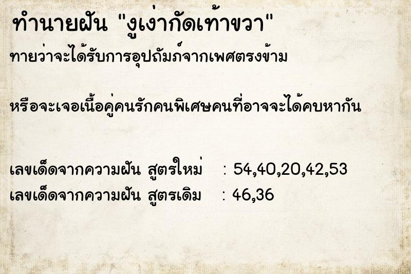 ทำนายฝันทำนายฝันงูเง่ากัดเท้าขวา