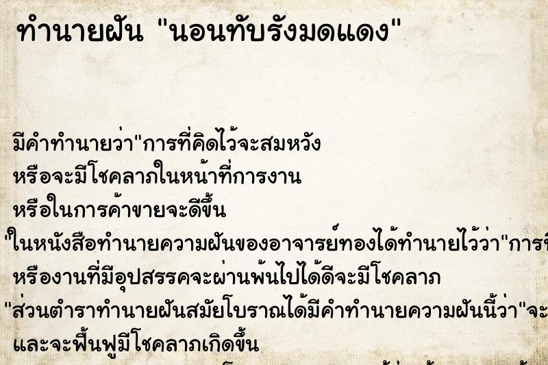 ทำนายฝัน นอนทับรังมดแดง ทำนายฝัน นอนทับรังมดแดง