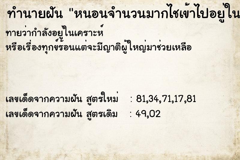 ทำนายฝันหนอนจำนวนมากไชเข้าไปอยู่ในเท้า ทำนายฝันทำนายฝันหนอนจำนวนมากไชเข้าไปอยู่ในเท้า
