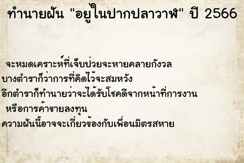 ทำนายฝันอยู่ในปากปลาวาฬ ทำนายฝันทำนายฝันอยู่ในปากปลาวาฬ