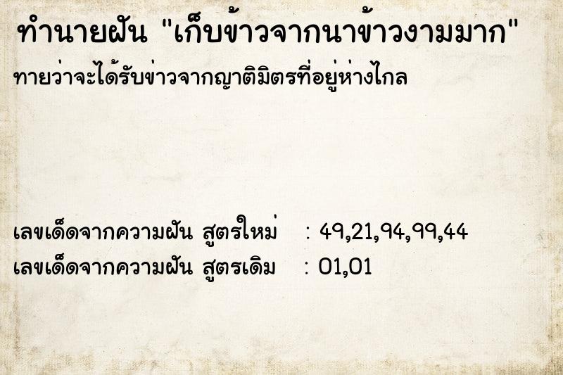 ทำนายฝันเก็บข้าวจากนาข้าวงามมาก ทำนายฝันทำนายฝันเก็บข้าวจากนาข้าวงามมาก