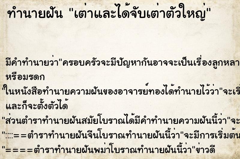 ทำนายฝัน เต่าและได้จับเต่าตัวใหญ่