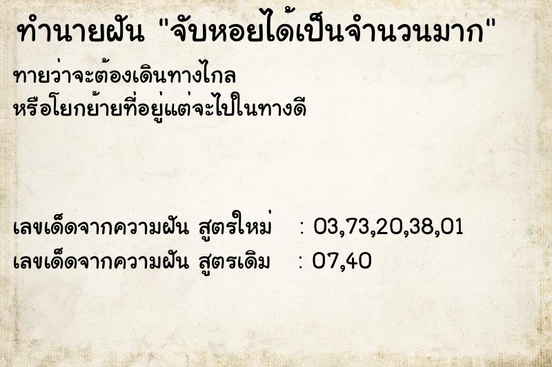 ทำนายฝันทำนายฝันจับหอยได้เป็นจำนวนมาก