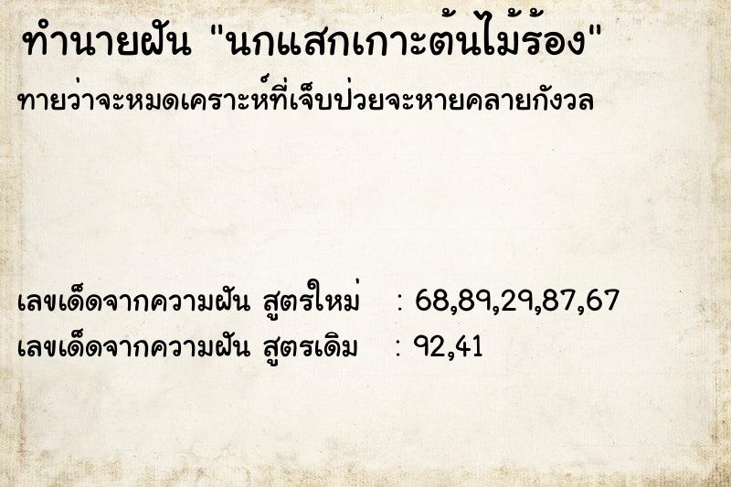 ทำนายฝันนกแสกเกาะต้นไม้ร้อง ทำนายฝันทำนายฝันนกแสกเกาะต้นไม้ร้อง