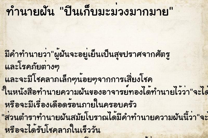 ทำนายฝันปีนเก็บมะม่วงมากมาย ทำนายฝันทำนายฝันปีนเก็บมะม่วงมากมาย