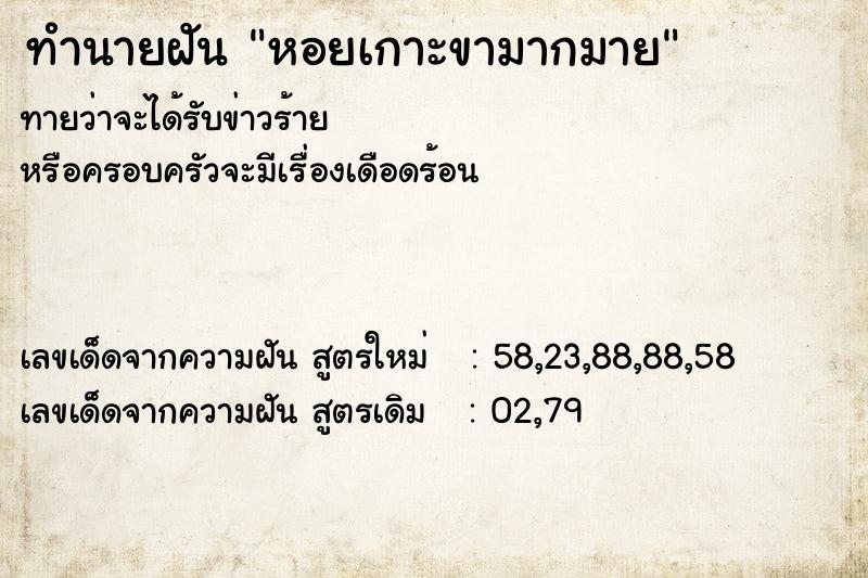 ทำนายฝันทำนายฝันหอยเกาะขามากมาย