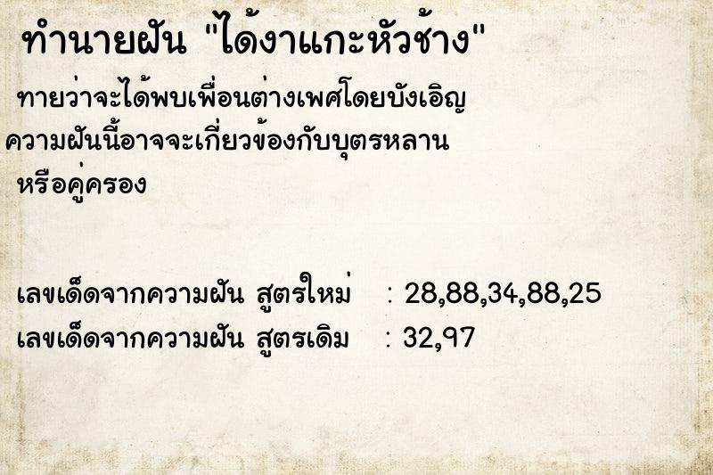 ทำนายฝันทำนายฝันได้งาแกะหัวช้าง