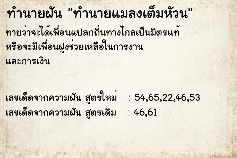 ทำนายฝันทำนายแมลงเต็มหัวน ทำนายฝันทำนายฝันทำนายแมลงเต็มหัวน