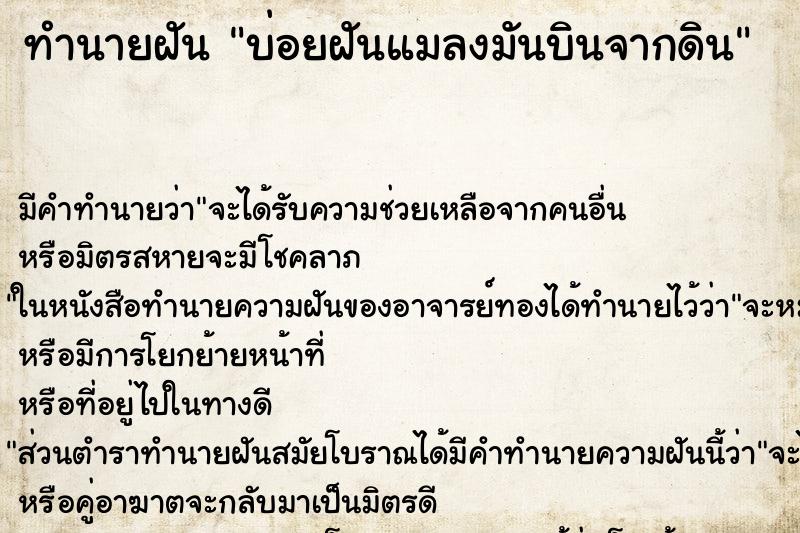 ทำนายฝันบ่อยฝันแมลงมันบินจากดิน ทำนายฝันทำนายฝันบ่อยฝันแมลงมันบินจากดิน