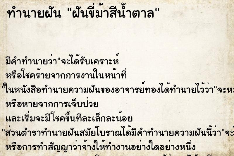 ทำนายฝัน ฝันขี่ม้าสีน้ำตาล ตำราโบราณ แม่นที่สุดในโลก