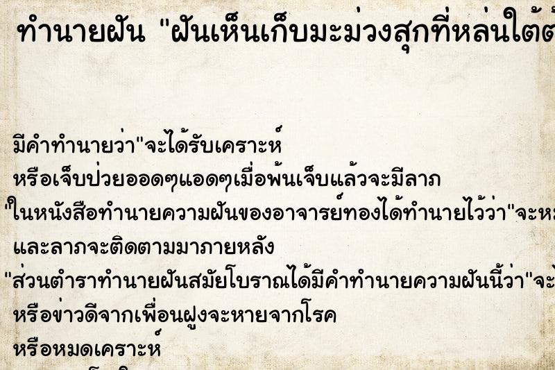 ทำนายฝัน ฝันเห็นเก็บมะม่วงสุกที่หล่นใต้ต้น ทำนายฝัน ฝันเห็นเก็บมะม่วงสุกที่หล่นใต้ต้น