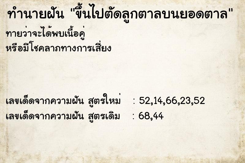 ทำนายฝันขึ้นไปตัดลูกตาลบนยอดตาล ทำนายฝันทำนายฝันขึ้นไปตัดลูกตาลบนยอดตาล