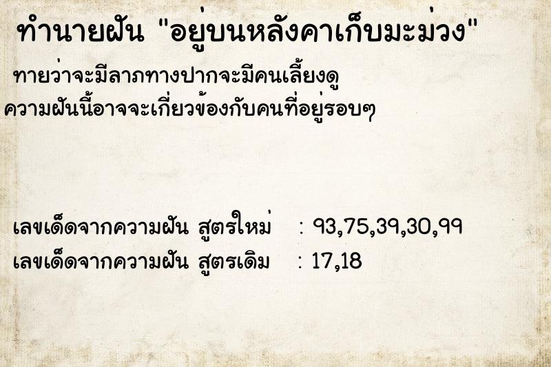 ทำนายฝันอยู่บนหลังคาเก็บมะม่วง ทำนายฝันทำนายฝันอยู่บนหลังคาเก็บมะม่วง