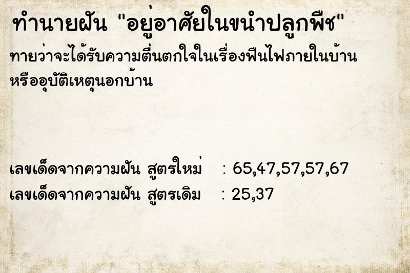 ทำนายฝันอยู่อาศัยในขนำปลูกพืช ทำนายฝันทำนายฝันอยู่อาศัยในขนำปลูกพืช