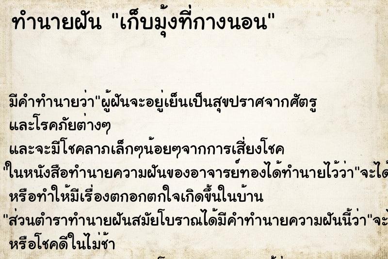 ทำนายฝัน เก็บมุ้งที่กางนอน ทำนายฝัน เก็บมุ้งที่กางนอน
