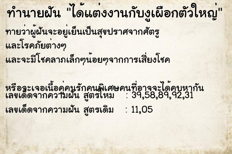 ทำนายฝัน ได้แต่งงานกับงูเผือกตัวใหญ่ ทำนายฝัน ได้แต่งงานกับงูเผือกตัวใหญ่
