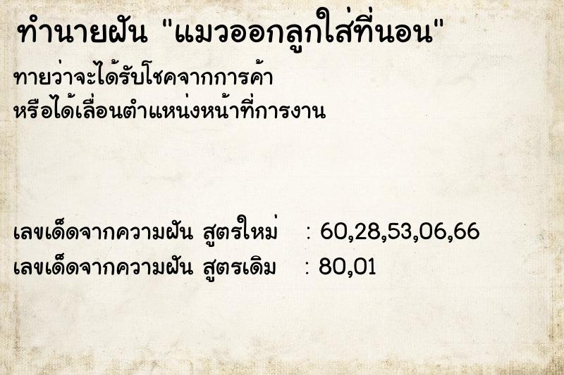 ทำนายฝันทำนายฝันแมวออกลูกใส่ที่นอน