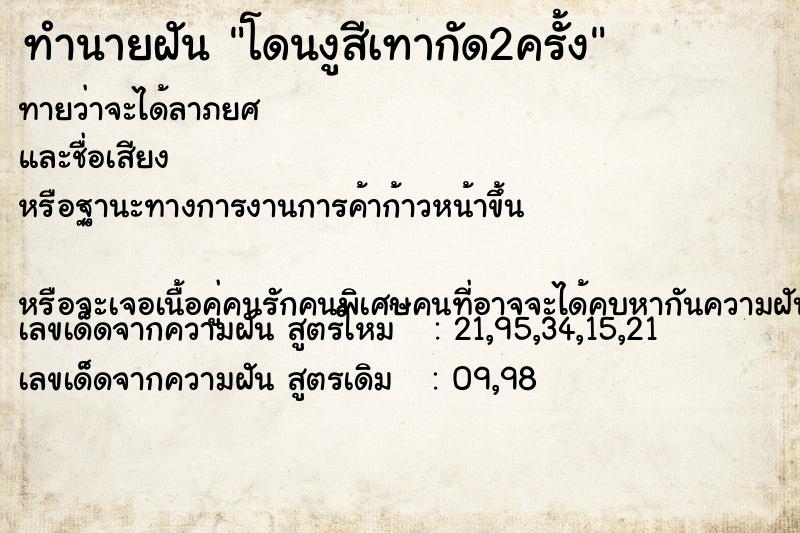 ทำนายฝันทำนายฝันโดนงูสีเทากัด2ครั้ง