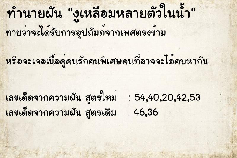 ทำนายฝันงูเหลือมหลายตัวในน้ำ ทำนายฝันทำนายฝันงูเหลือมหลายตัวในน้ำ
