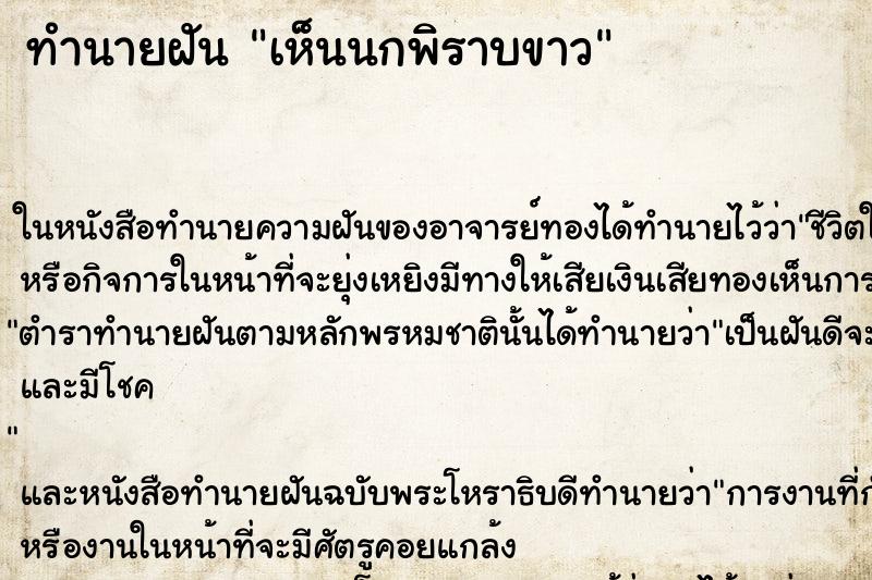 ทำนายฝันเห็นนกพิราบขาว ทำนายฝันทำนายฝันเห็นนกพิราบขาว