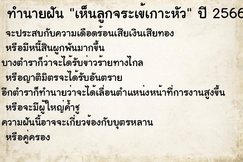 ทำนายฝันทำนายฝันเห็นลูกจระเข้เกาะหัว
