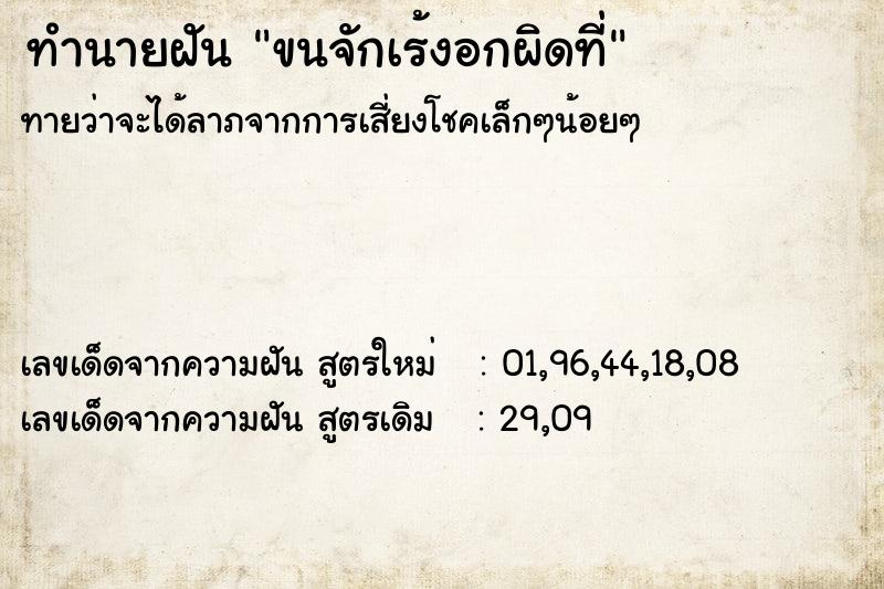 ทำนายฝันทำนายฝันขนจักเร้งอกผิดที่