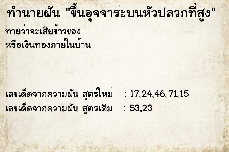 ทำนายฝัน ขึ้นอุจจาระบนหัวปลวกที่สูง ทำนายฝัน ขึ้นอุจจาระบนหัวปลวกที่สูง
