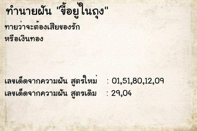 ทำนายฝัน ขี้อยู่ในถุง ทำนายฝัน ขี้อยู่ในถุง