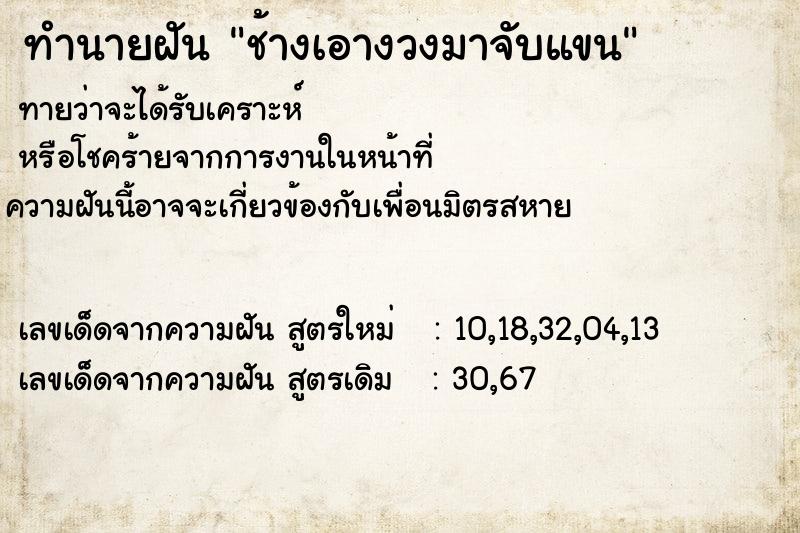 ทำนายฝันช้างเอางวงมาจับแขน ทำนายฝันทำนายฝันช้างเอางวงมาจับแขน