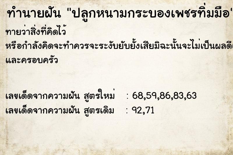 ทำนายฝันทำนายฝันปลูกหนามกระบองเพชรทิ่มมือ