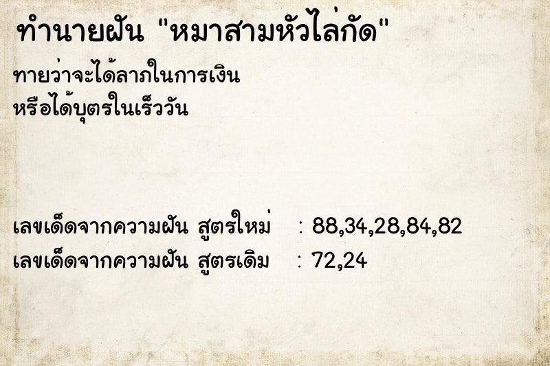 ทำนายฝันหมาสามหัวไล่กัด ทำนายฝันทำนายฝันหมาสามหัวไล่กัด