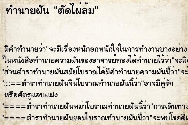 ทำนายฝันตัดไผ่ล้ม ทำนายฝันทำนายฝันตัดไผ่ล้ม