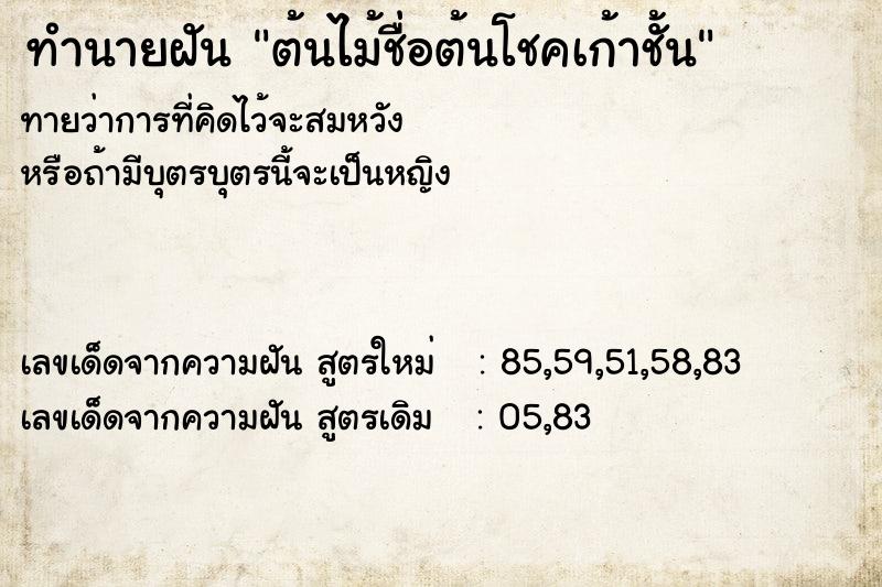ทำนายฝันต้นไม้ชื่อต้นโชคเก้าชั้น ทำนายฝันทำนายฝันต้นไม้ชื่อต้นโชคเก้าชั้น