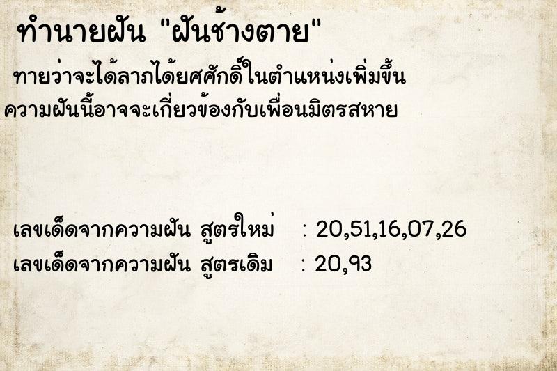 ทำนายฝันฝันช้างตาย ทำนายฝันทำนายฝันฝันช้างตาย