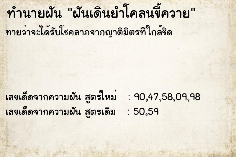 ทำนายฝันทำนายฝันฝันเดินยำโคลนขี้ควาย