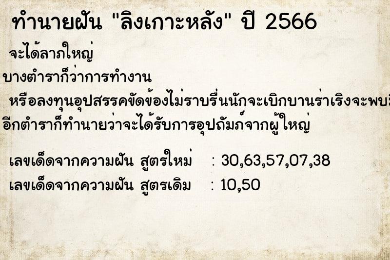 ทำนายฝัน ลิงเกาะหลัง ทำนายฝัน ลิงเกาะหลัง