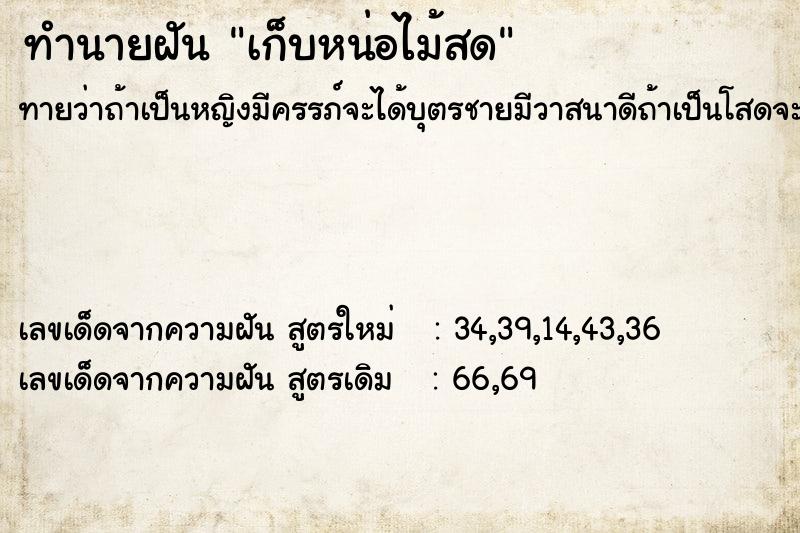 ทำนายฝันเก็บหน่อไม้สด ทำนายฝันทำนายฝันเก็บหน่อไม้สด