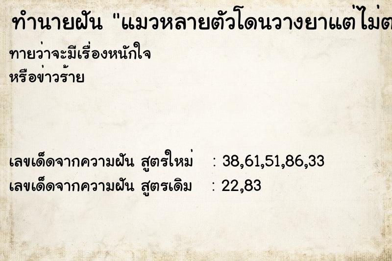 ทำนายฝันแมวหลายตัวโดนวางยาแต่ไม่ตาย ทำนายฝันทำนายฝันแมวหลายตัวโดนวางยาแต่ไม่ตาย