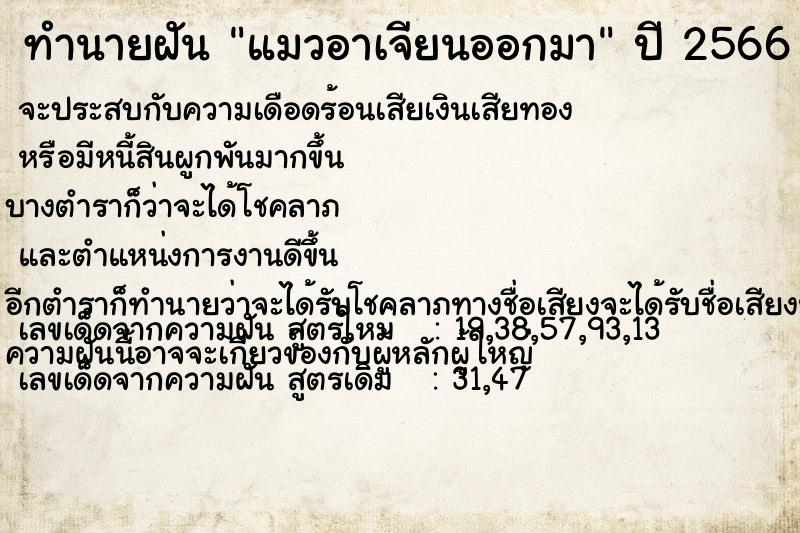 ทำนายฝัน แมวอาเจียนออกมา แม่นๆ ฟรี ด้วยตำราหนังสือทำนายฝันโบราณ ทำนายฝันแมวอาเจียนออกมา
