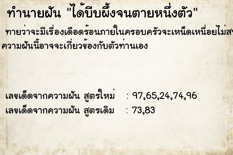 ทำนายฝันได้บีบผึ้งจนตายหนึ่งตัว ทำนายฝันทำนายฝันได้บีบผึ้งจนตายหนึ่งตัว
