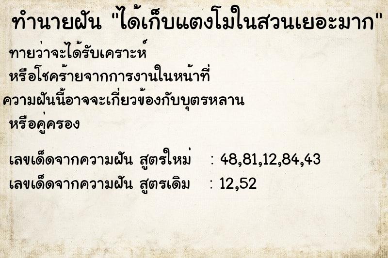 ทำนายฝันทำนายฝันได้เก็บแตงโมในสวนเยอะมาก