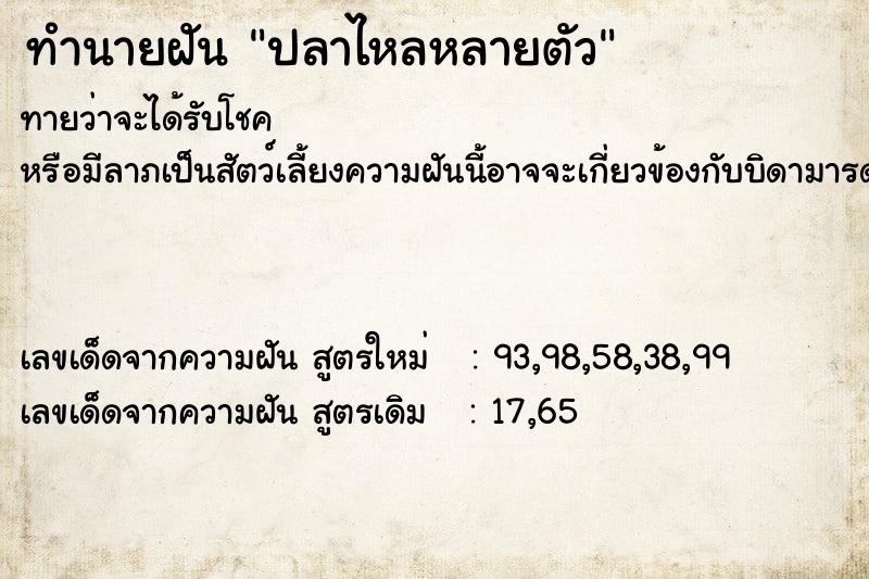 ทำนายฝัน ปลาไหลหลายตัว ทำนายฝัน ปลาไหลหลายตัว