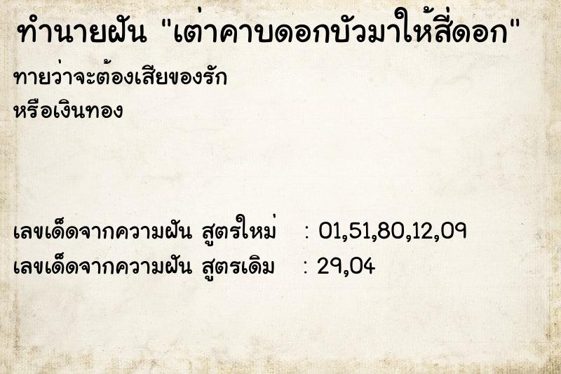 ทำนายฝันเต่าคาบดอกบัวมาให้สี่ดอก ทำนายฝันทำนายฝันเต่าคาบดอกบัวมาให้สี่ดอก