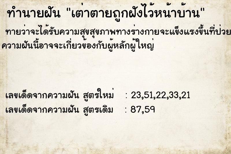 ทำนายฝันเต่าตายถูกฝังไว้หน้าบ้าน ทำนายฝันทำนายฝันเต่าตายถูกฝังไว้หน้าบ้าน